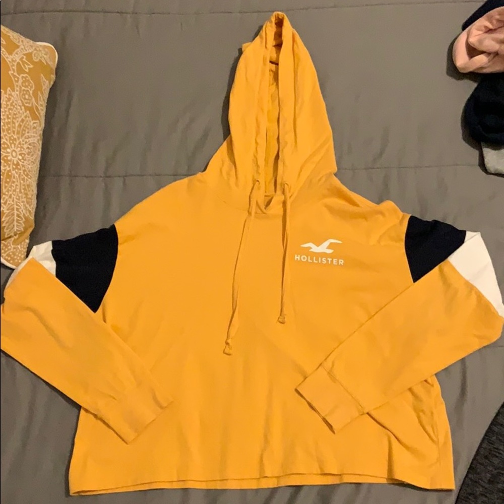 Hollister crop long sleeve tee with hood